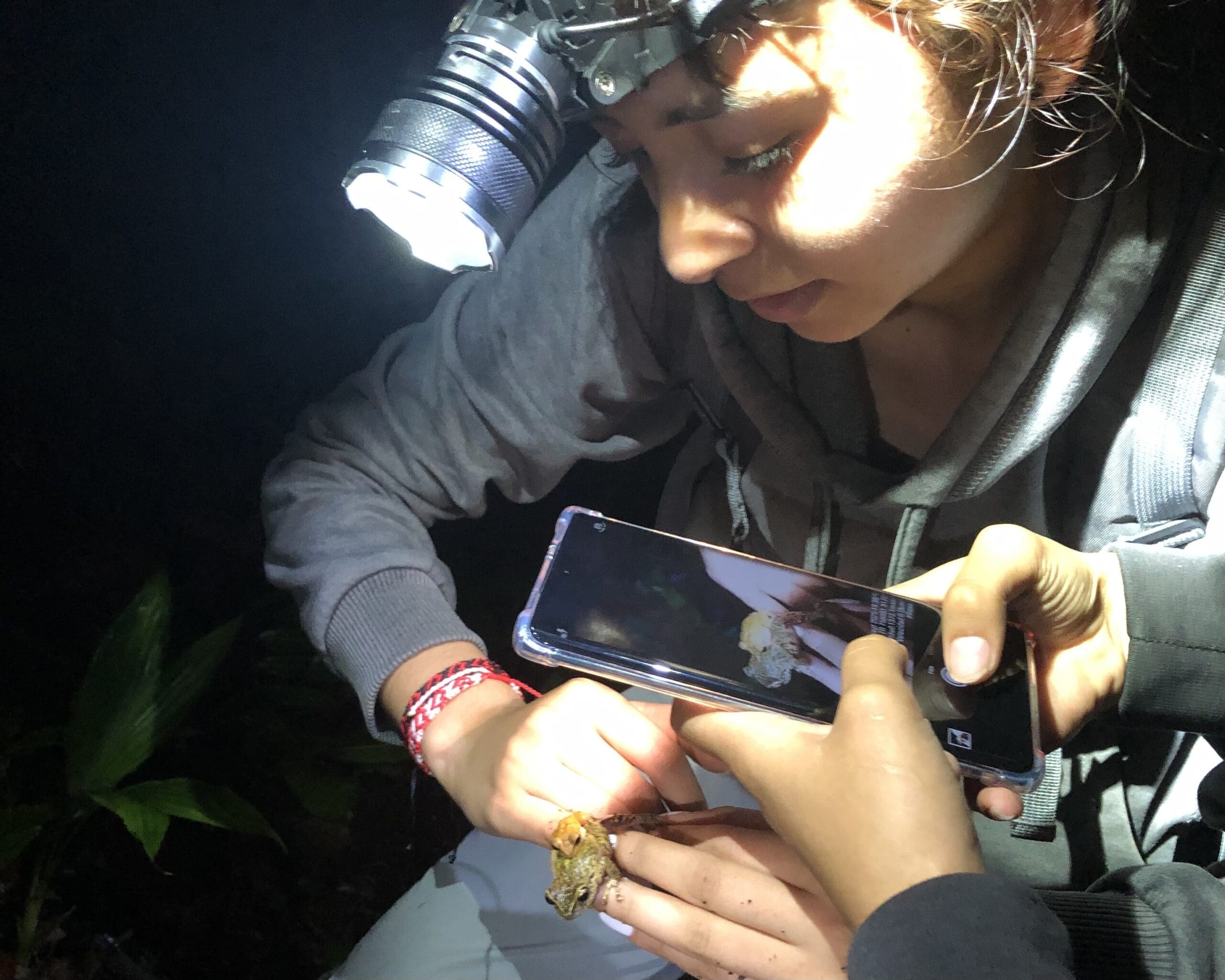 Two people take pictures with a cellphone of a rare frog
