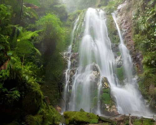 A gushing waterfall covers a mossy rock face cut into a forested glade in the Junin Cloud Forest