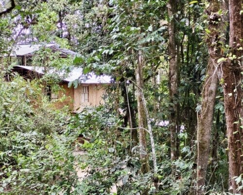 Las cabañas de Eco Cabañas Junin están rodeadas de bosque.