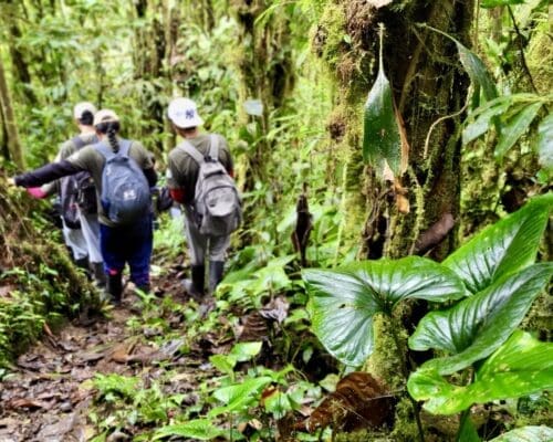 Hiking in Reserva Comunitaria Junin