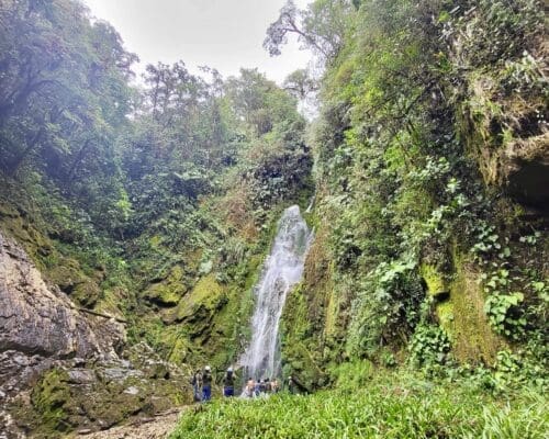 A small hiking group admires a waterfall spilling over the a tall, moss covered wall into a natural pool at its base