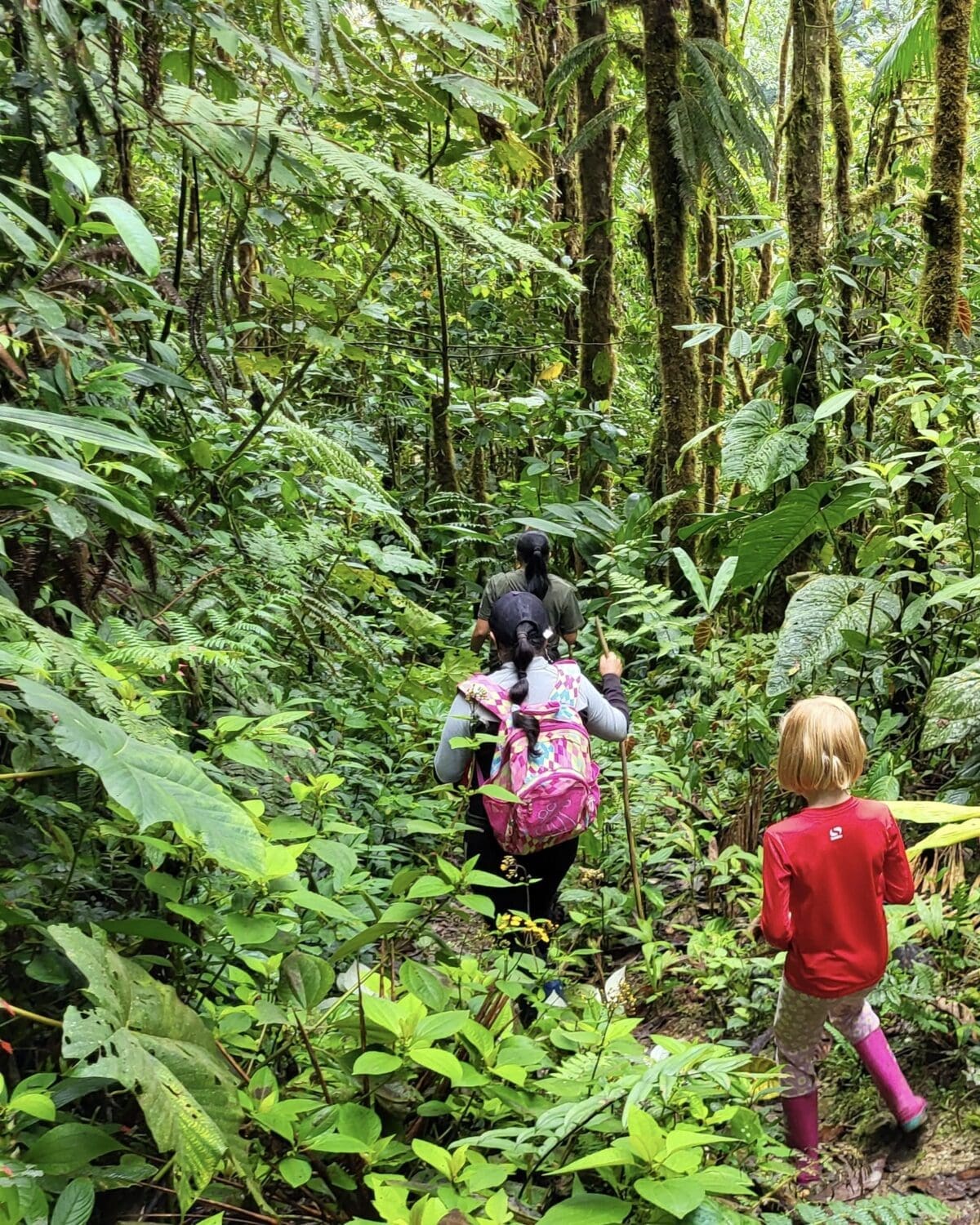 A child and two adults hike in the cloudforest of Junin, Intag Valley, Ecuador